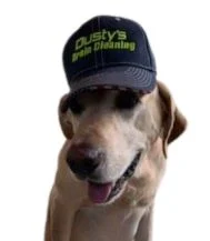 dustys dog